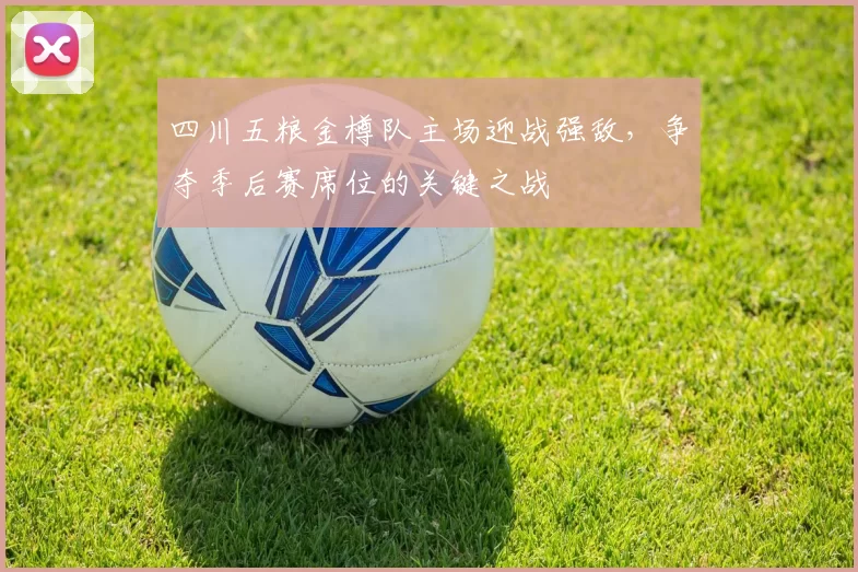 四川五粮金樽队主场迎战强敌，争夺季后赛席位的关键之战