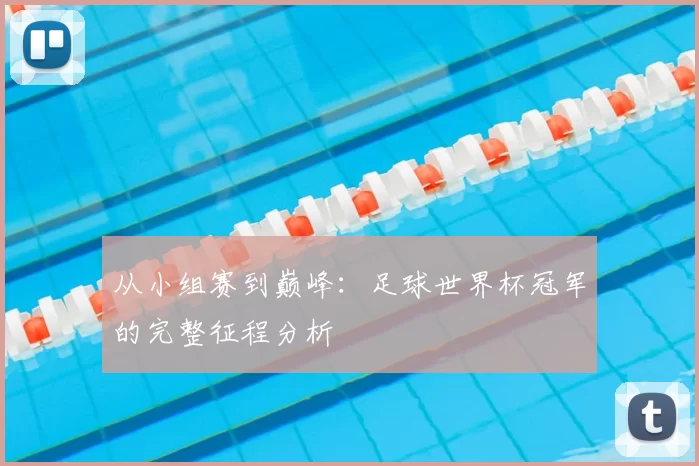 从小组赛到巅峰：足球世界杯冠军的完整征程分析