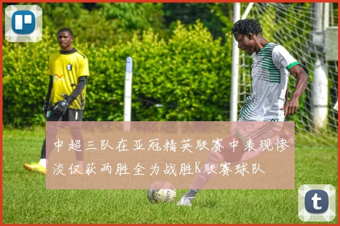 中超三队在亚冠精英联赛中表现惨淡仅获两胜全为战胜K联赛球队