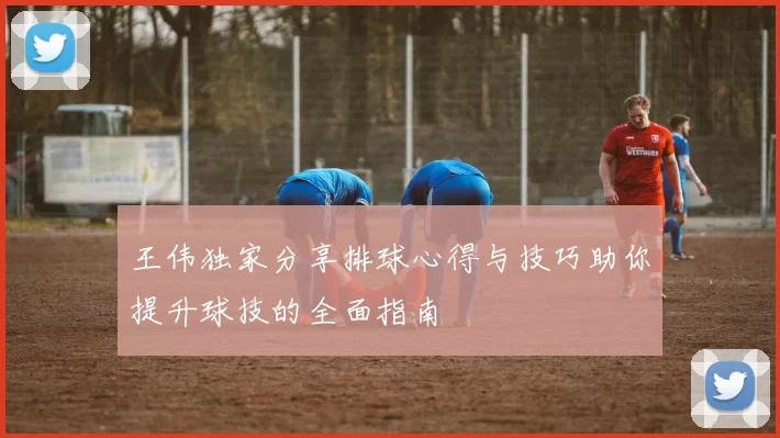 王伟独家分享排球心得与技巧助你提升球技的全面指南