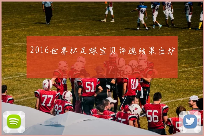 2016世界杯足球宝贝评选结果出炉