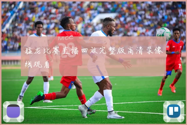 猛龙比赛直播回放完整版高清录像线观看