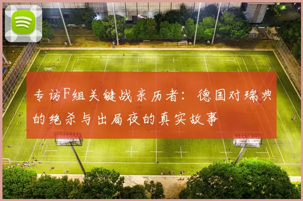 专访F组关键战亲历者:德国对瑞典的绝杀与出局夜的真实故事