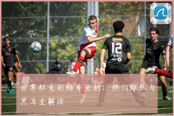 世界杯竞彩赔率分析：热门球队与黑马全解读