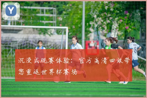 沉浸式观赛体验：官方高清回放带您重返世界杯赛场