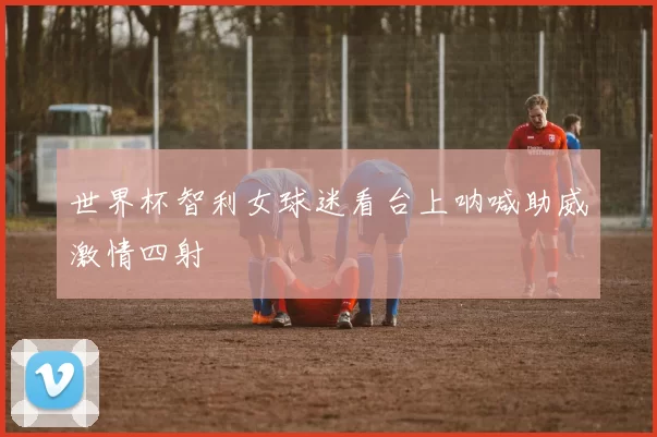 世界杯智利女球迷看台上呐喊助威激情四射