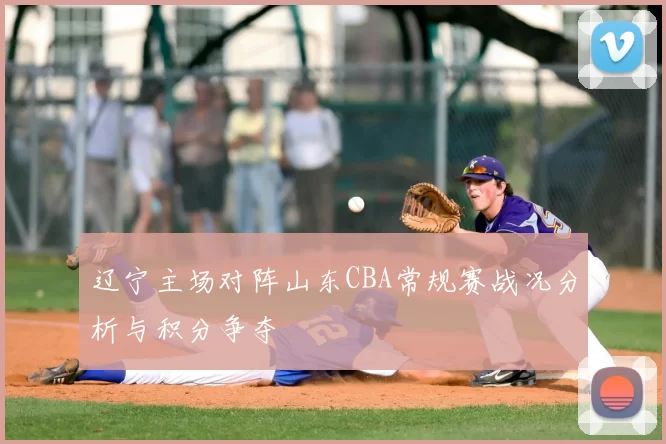 辽宁主场对阵山东CBA常规赛战况分析与积分争夺